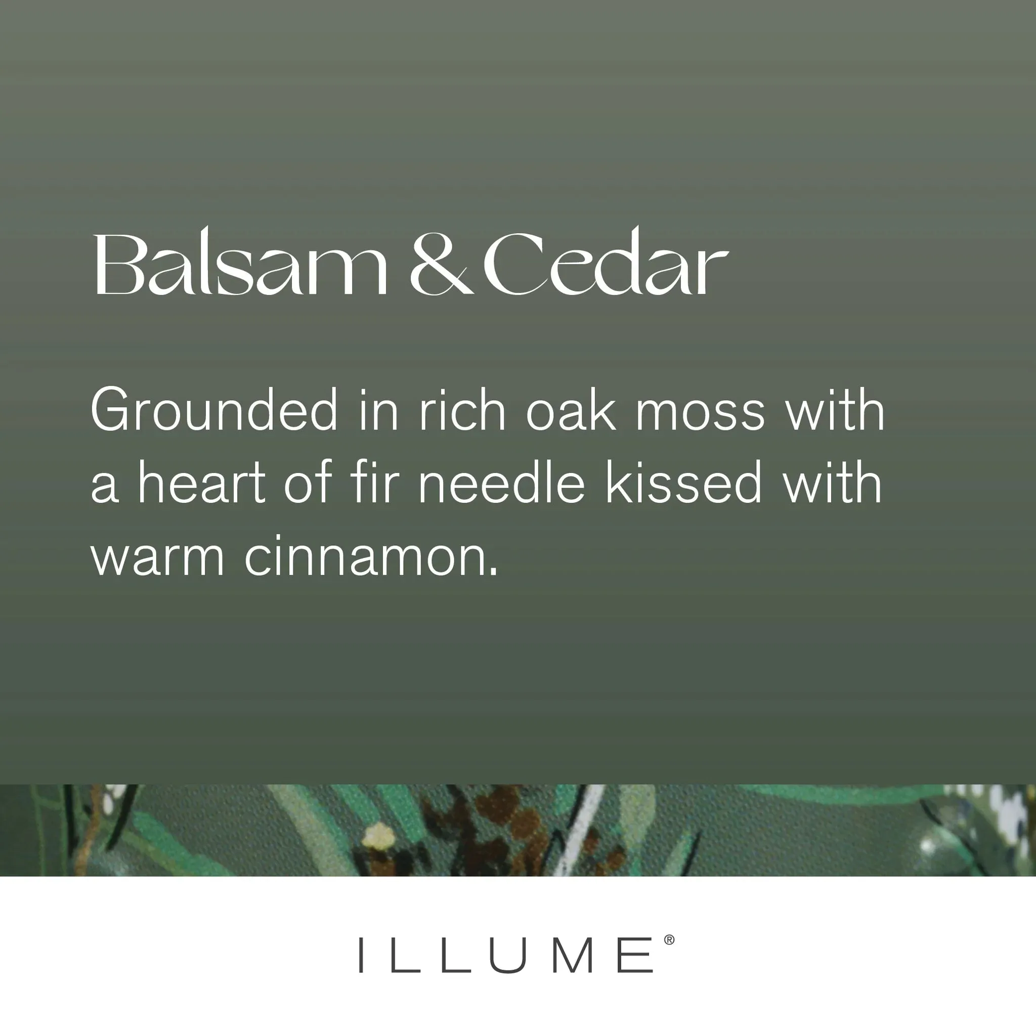Balsam & Cedar Glass Candle