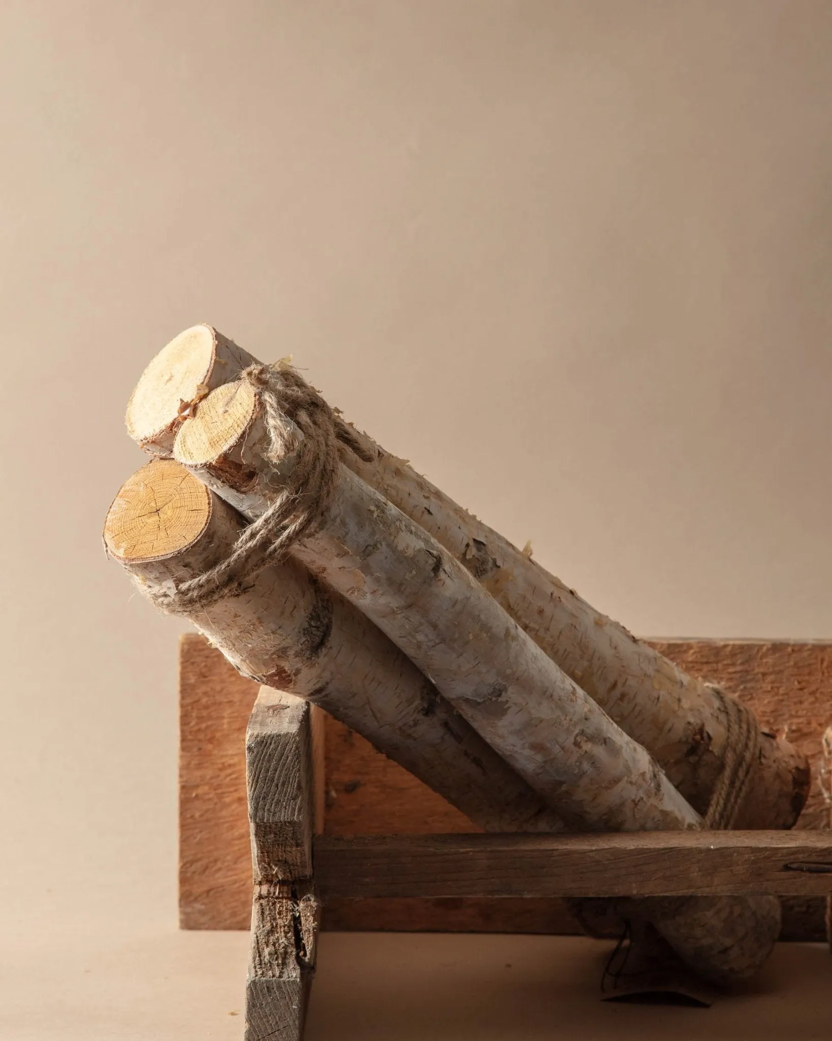 Birch Log Bundle