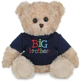 Buddy Big Brother Bear