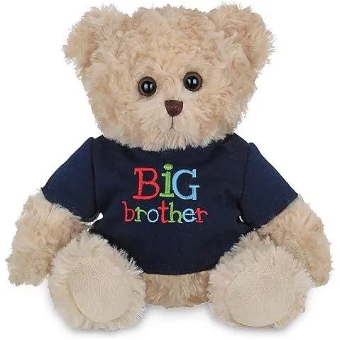 Buddy Big Brother Bear
