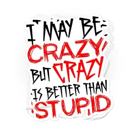 Crazy is better than stupid sticker