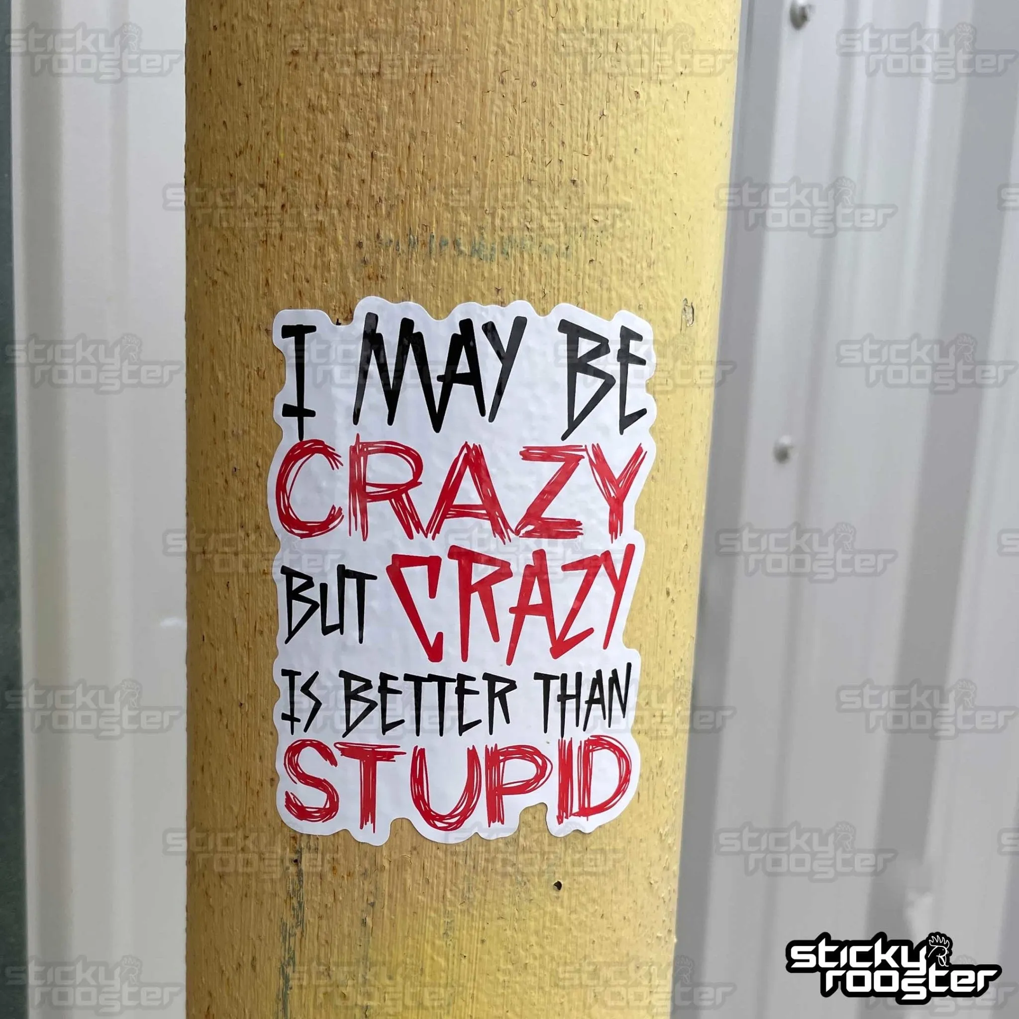 Crazy is better than stupid sticker