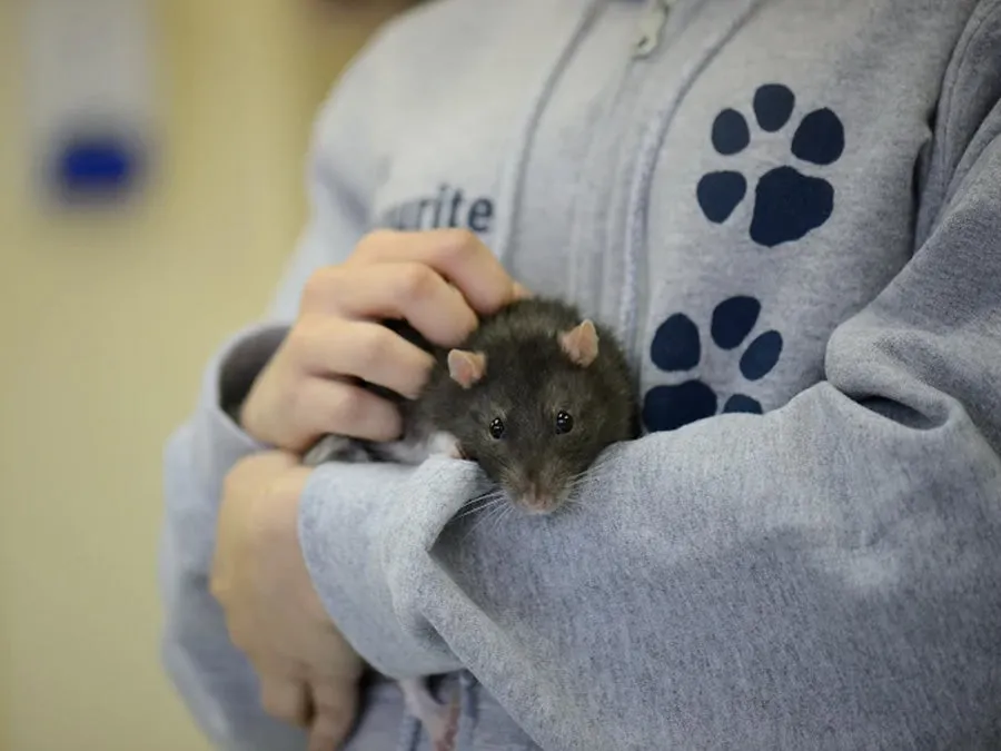 Critter Care