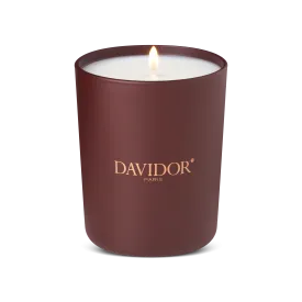 DAVIDOR Bougie, L'été à Paris