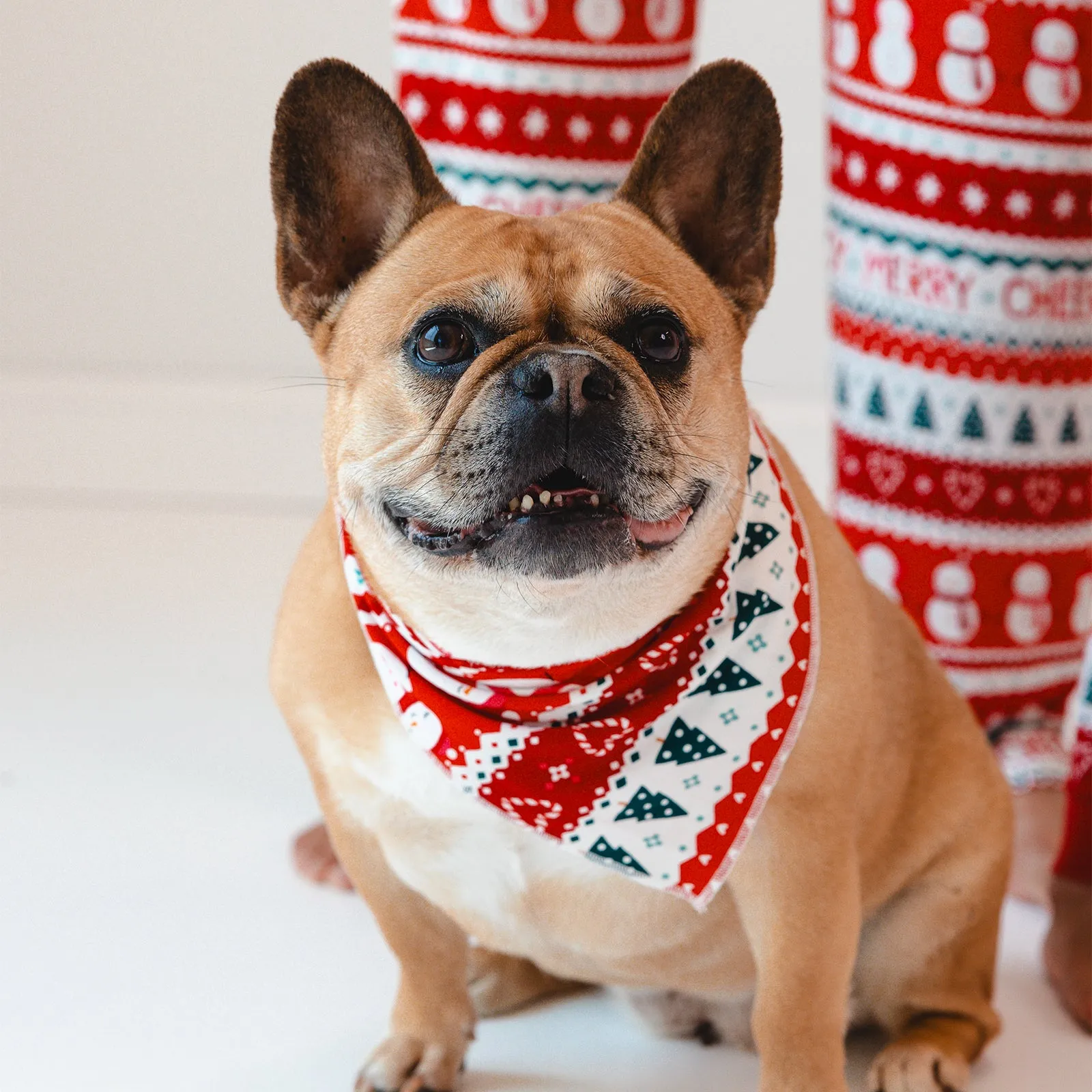 Festive Fair Isle Pet Bandana