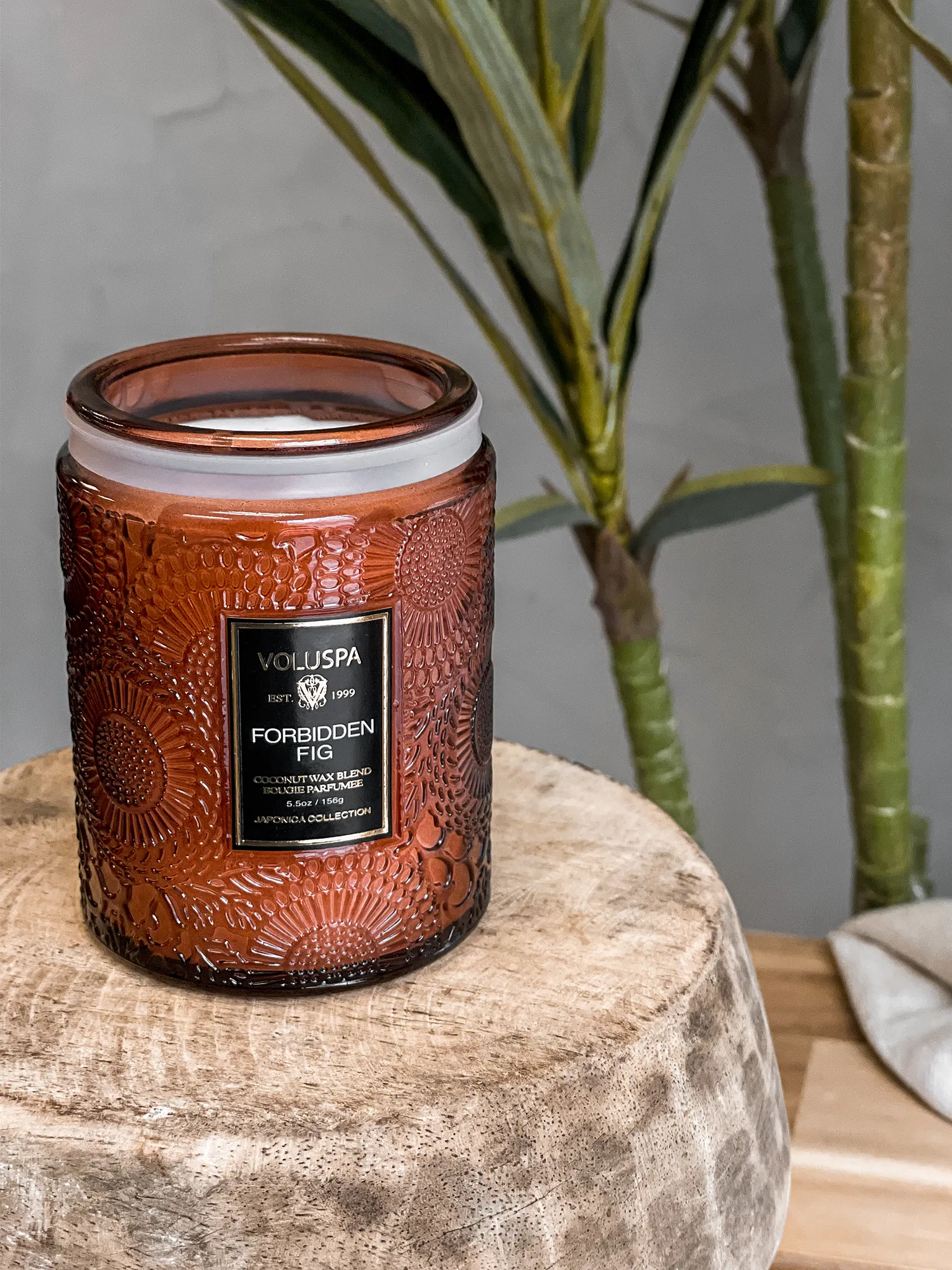 Forbidden Fig Mini Jar Candle