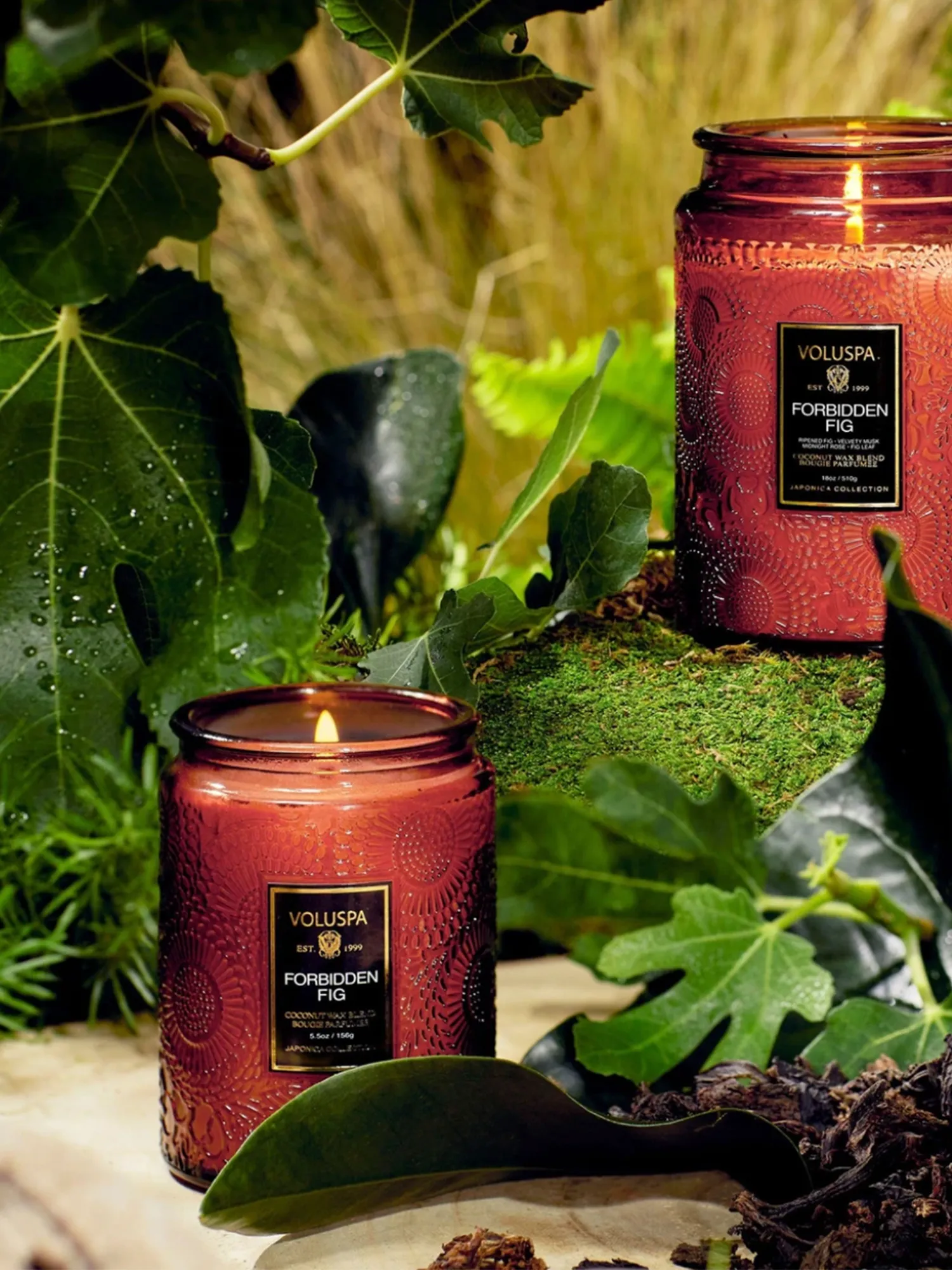Forbidden Fig Mini Jar Candle