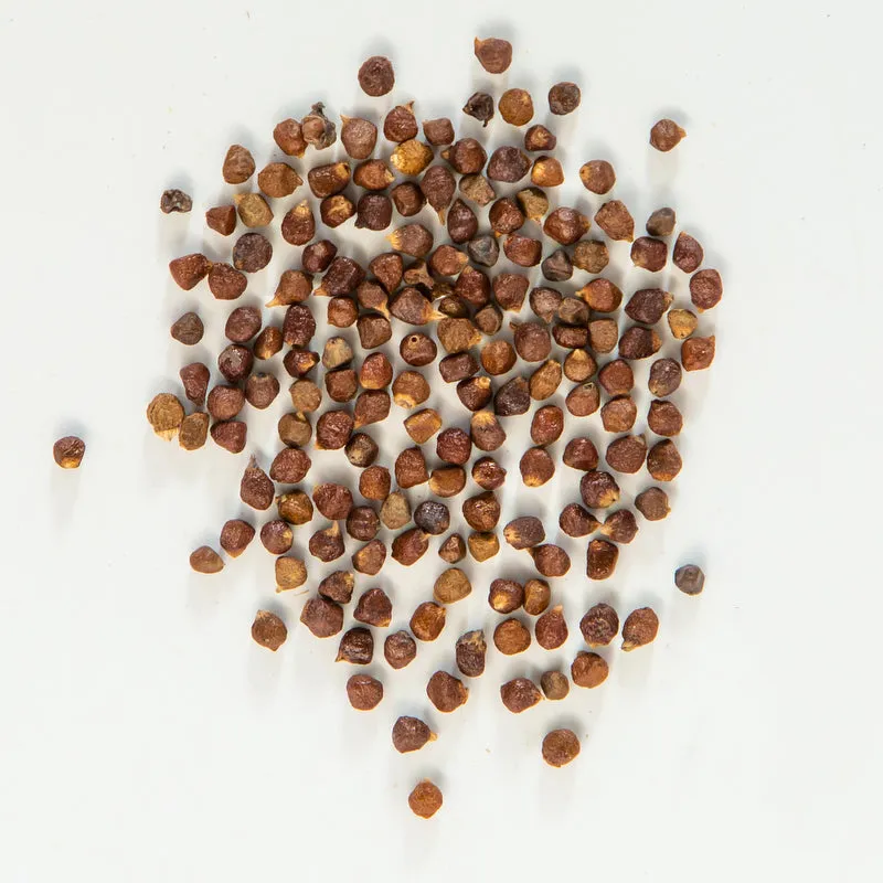 Grains of Paradise