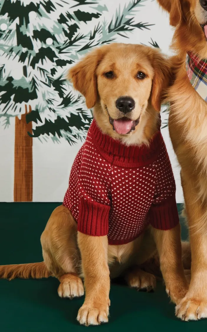 Heart Stitch Holiday Sweater