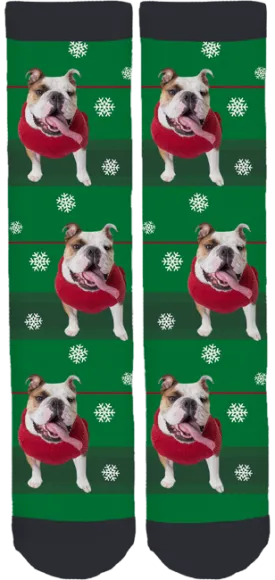 Meatball Holiday Crew Socks