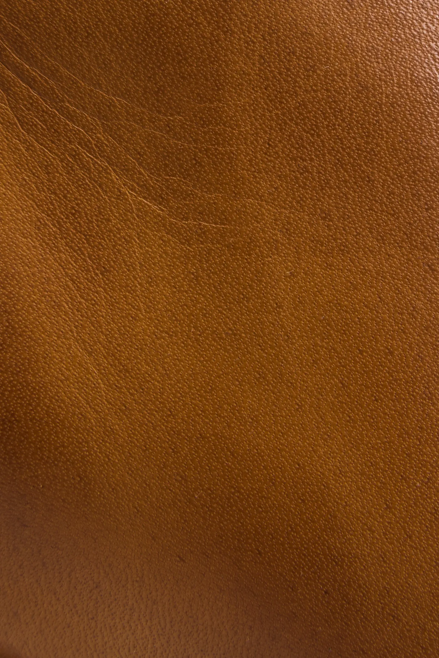 Nora Zip Short - Pre-Loved