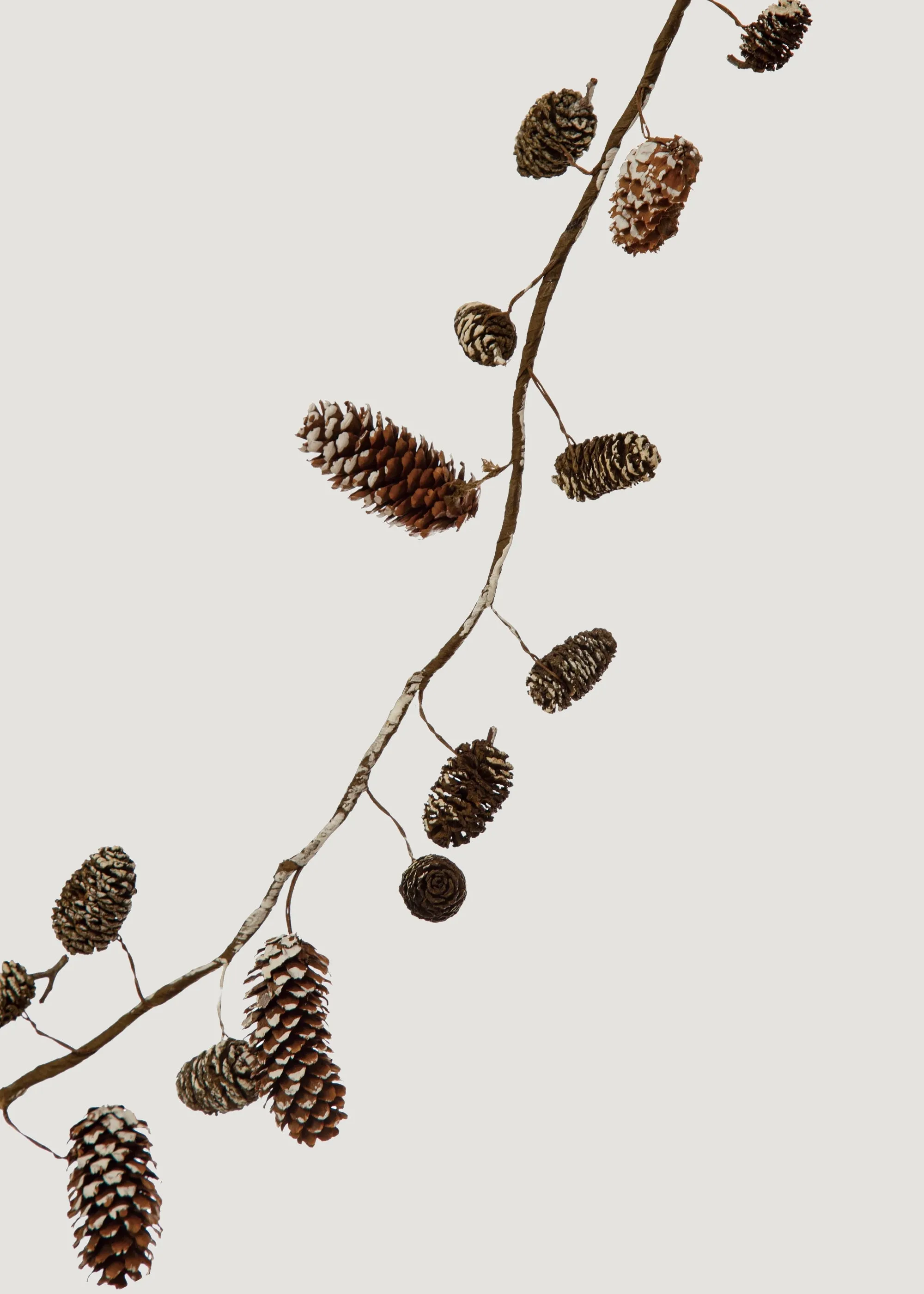 Snowy Pine Cone Holiday Garland - 70"